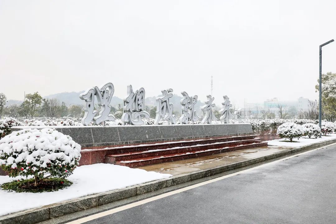 瑞雪兆豐年，邀您共賞雪中山河！