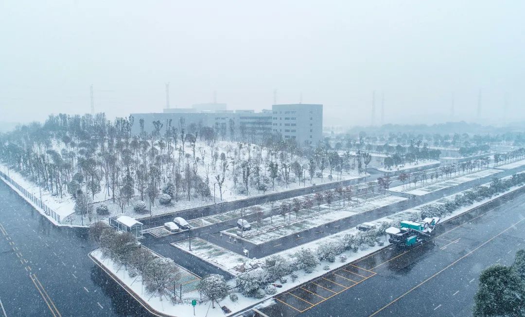 瑞雪兆豐年，邀您共賞雪中山河！